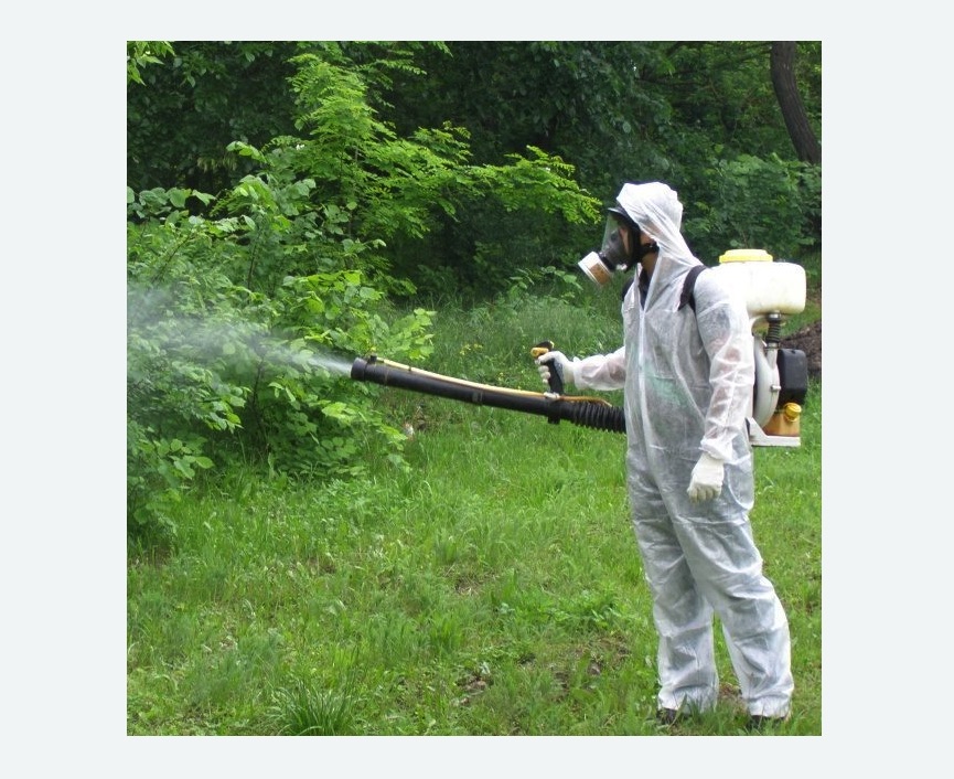 обработка территории от клещей в Сургуте