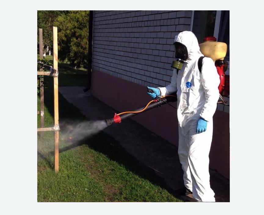 травля клещей на участке в Сургуте