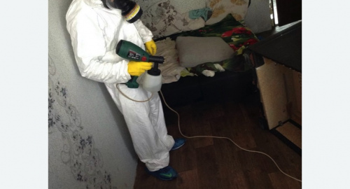 Обработка квартир от насекомых в Сургуте