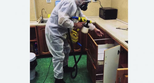 Дезинсекция квартиры. Сургут