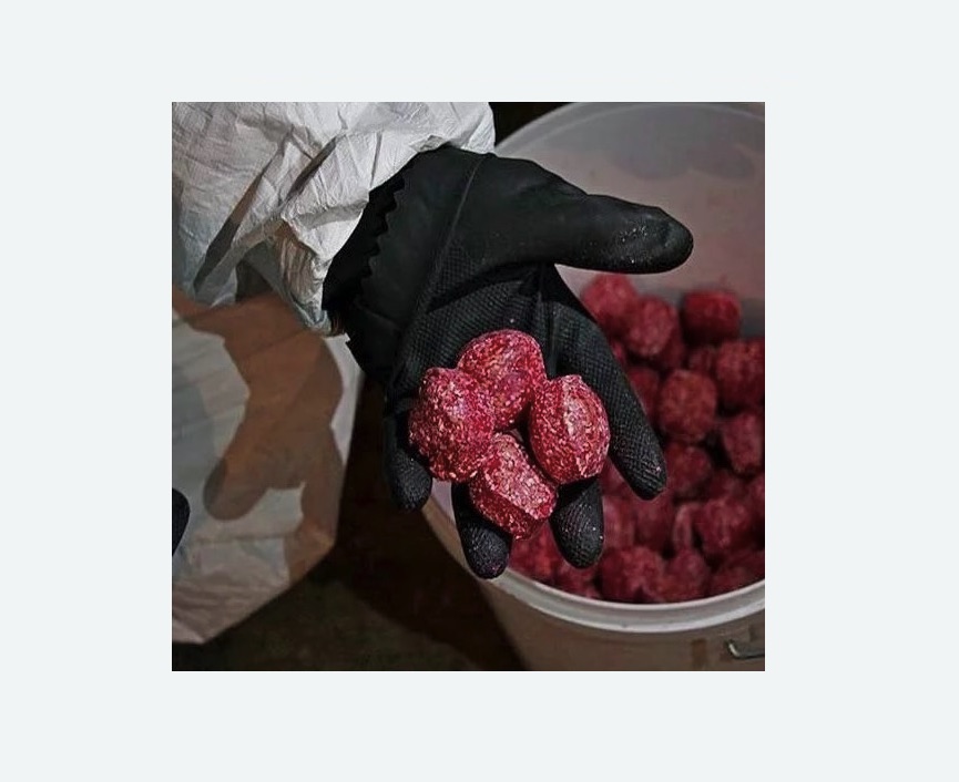 Обработка от крыс в Сургуте