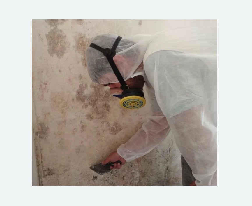 Обработка стен от плесени в Сургуте