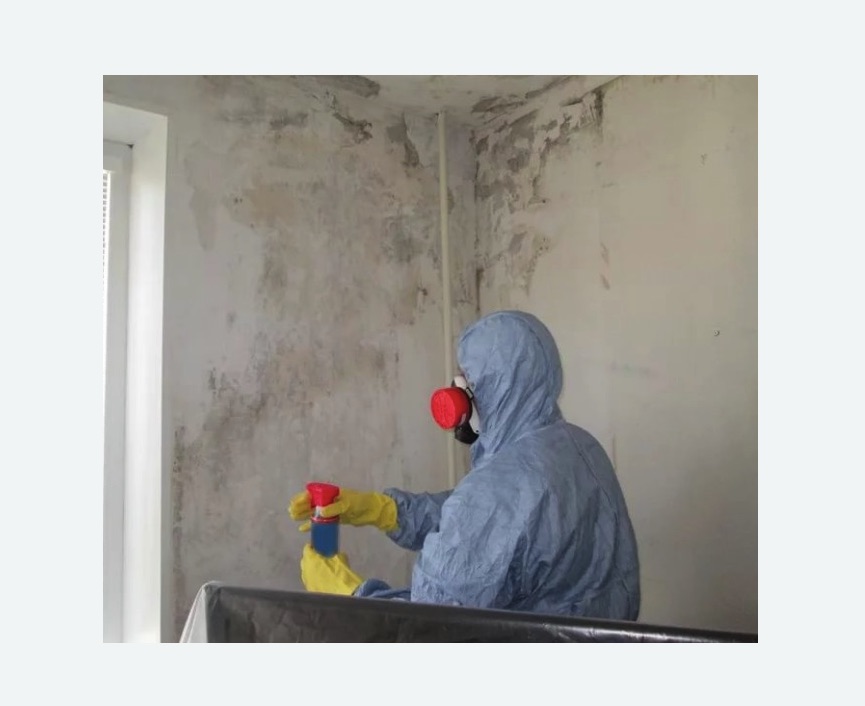Удаление плесени в квартире в Сургуте
