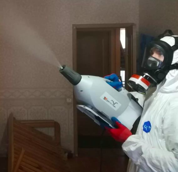дезинсекция помещения в Сургуте