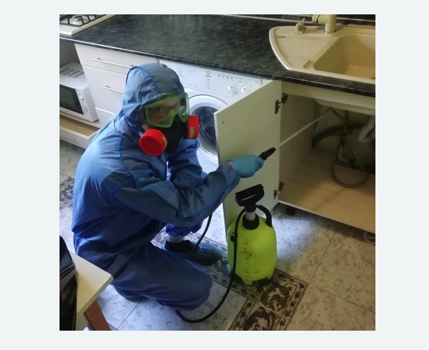 обработка от муравьев в квартире в Сургуте