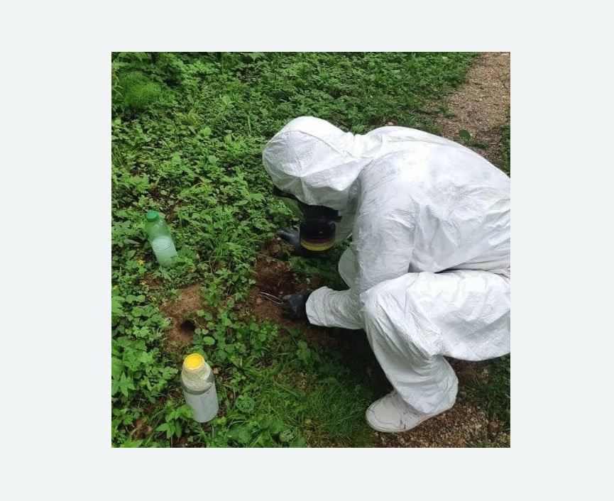 уничтожение кротов на участке в Сургуте