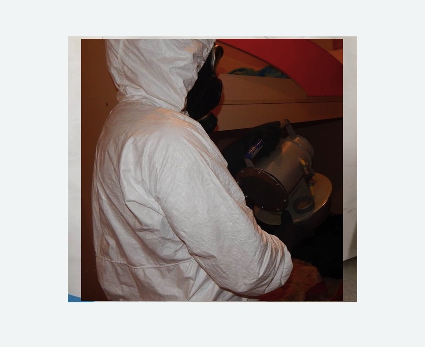 Дезинфекция от муравьев в Сургуте