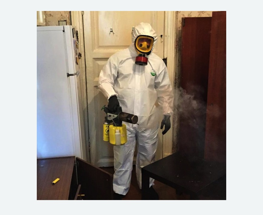 уничтожение муравьев в квартире в Сургуте